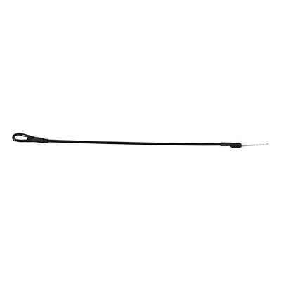 17cm Black Plastic Housing Wire Rope With 1 Ring And 1 Pin EAS Tag